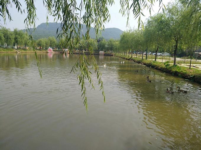 员工风采 员工风采